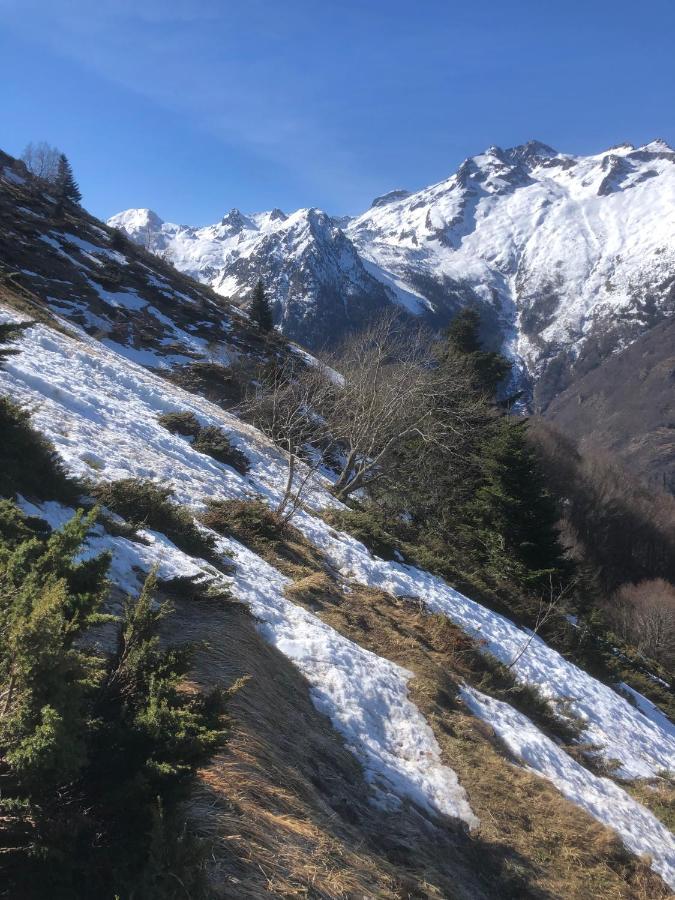 La Petite Maison Des Montagnes 吕兹-圣索沃尔 外观 照片